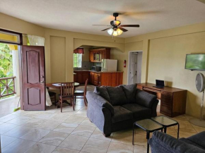 Free Airport Pickup - Charming 1-Bedroom Apt #1 - 5 Mins to SGU